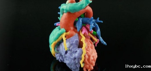 Materialise-heart-models