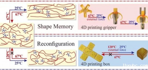 4D research