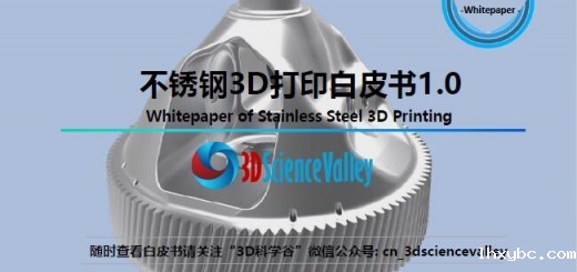 Whitepaper_Stainless_Cover 1