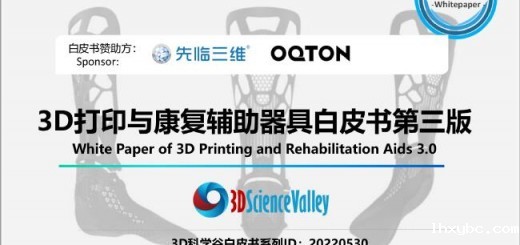 Whitepaper_Rehabilitation3_Cover1