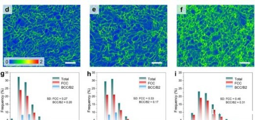 article_Multiprin_4